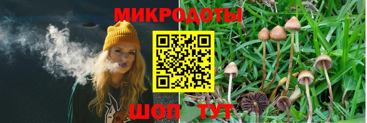 Псилоцибиновые грибы Cubensis  Галлюциногенные грибы ЛСД  Вход с VPN  Гулькевичи 